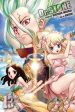 Dr. Stone, Vol. 13 Online